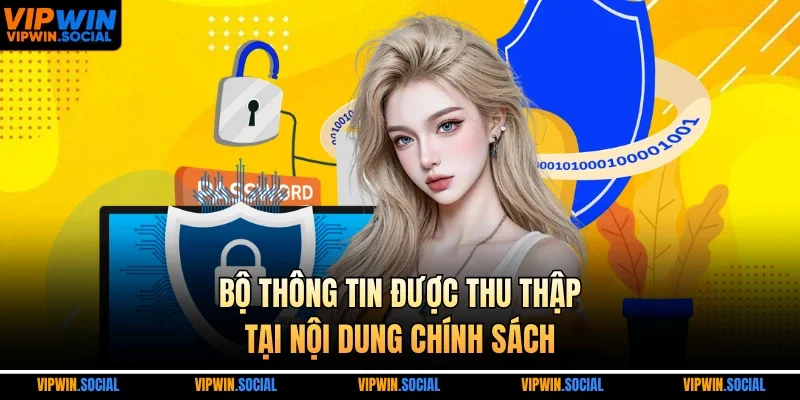 Bộ thông tin được thu thập tại nội dung chính sách