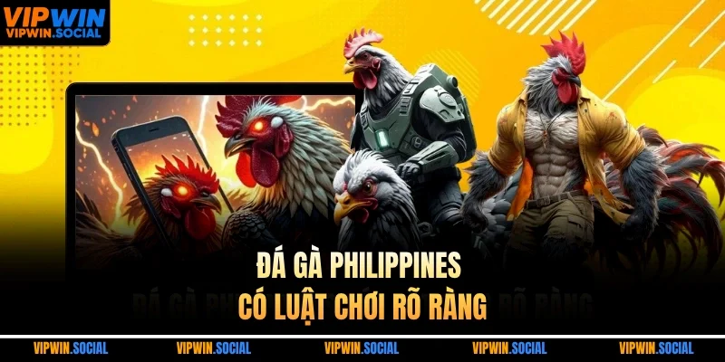 Đá gà Philippines có luật chơi rõ ràng
